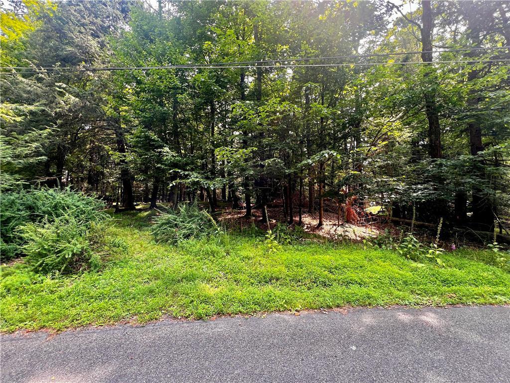 a view of a backyard with a garden