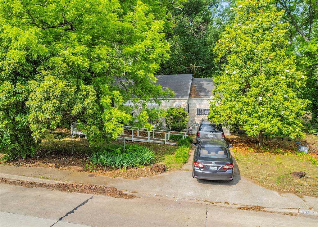 a view of a yard with plants