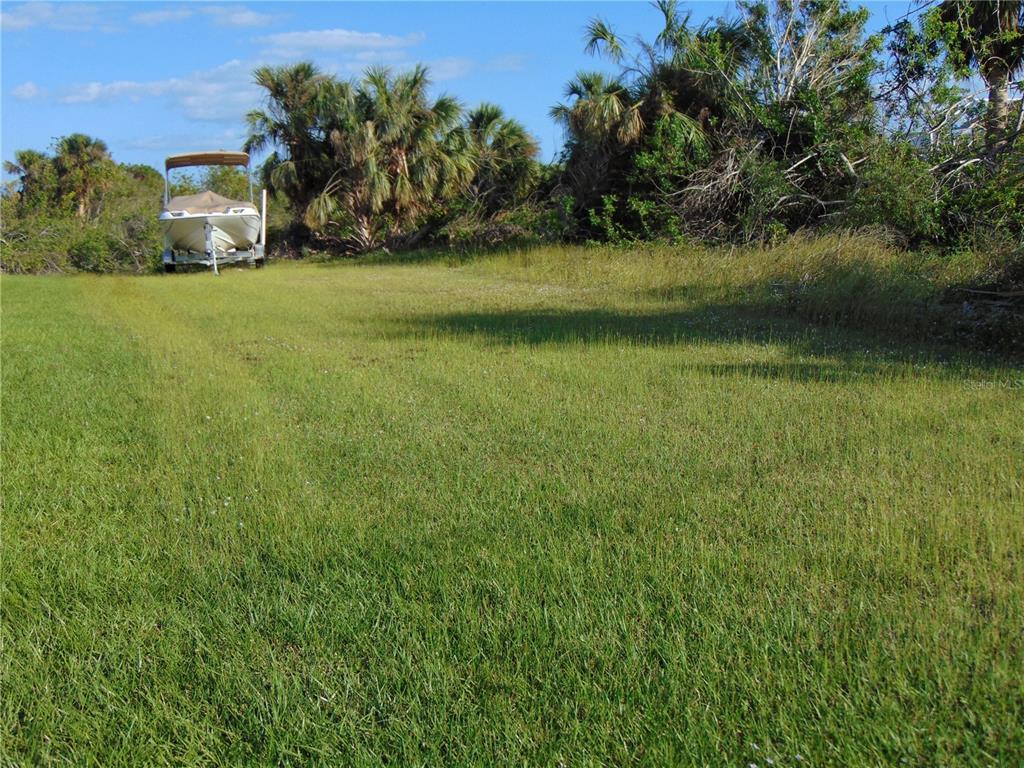 a view of a yard