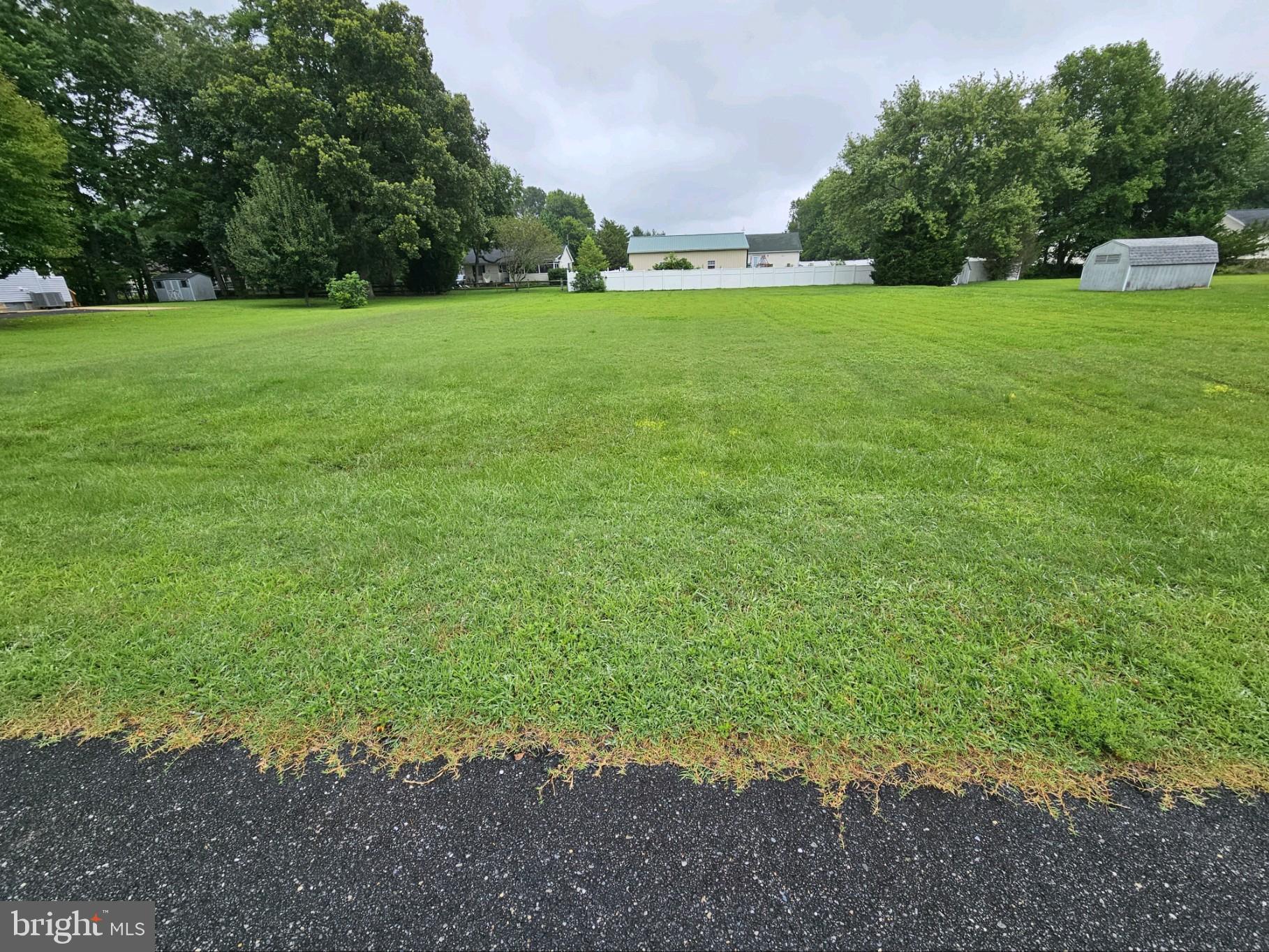 a view of a field with trees in the background