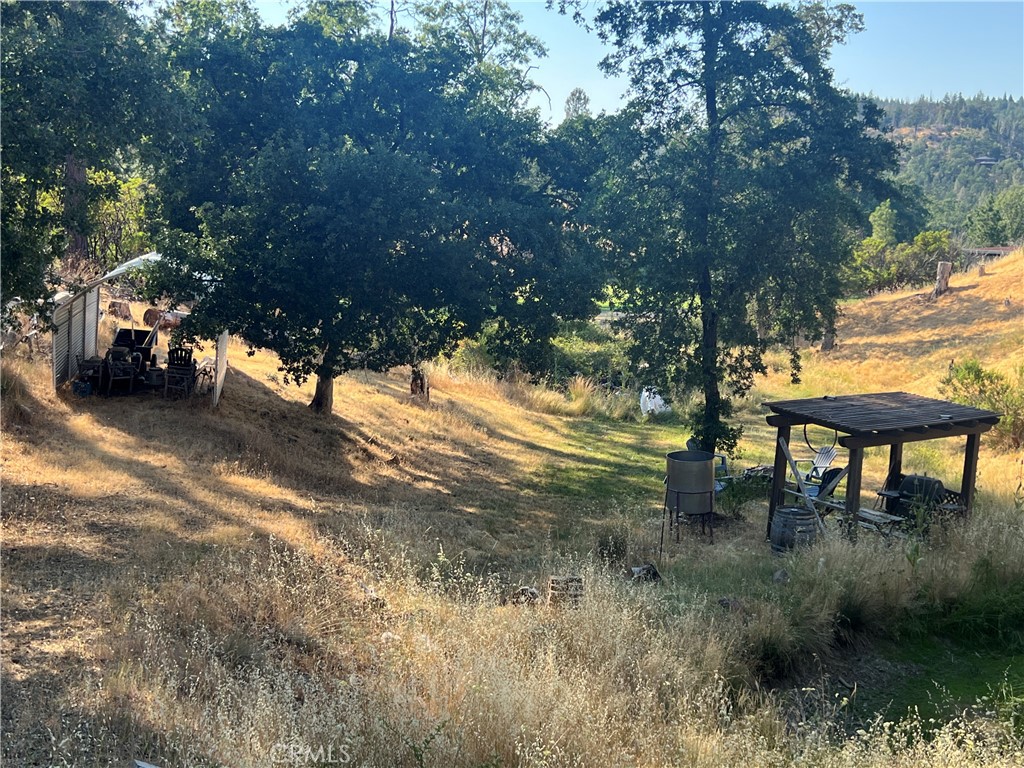 a view of a yard with a tree