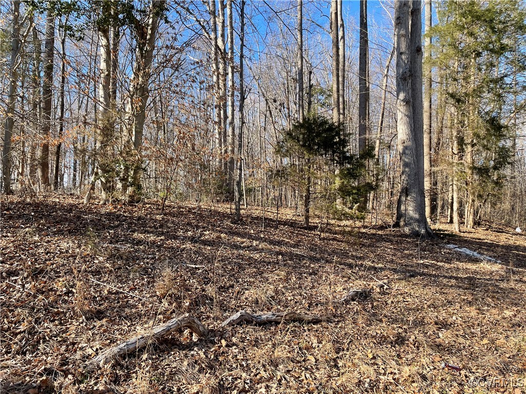 a view of a yard with a tree