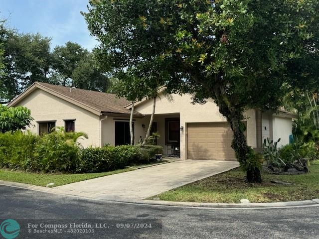 a house that has a tree in front of the house