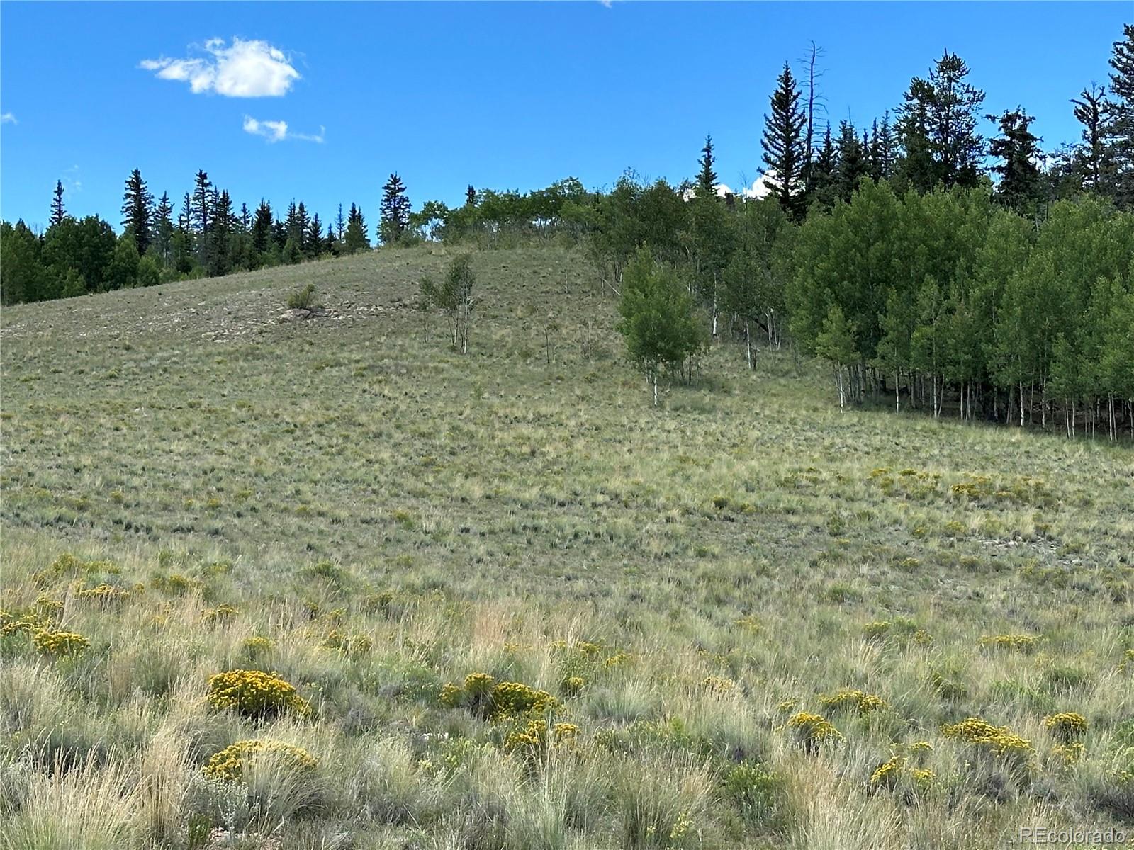 a view of a field with trees in the background