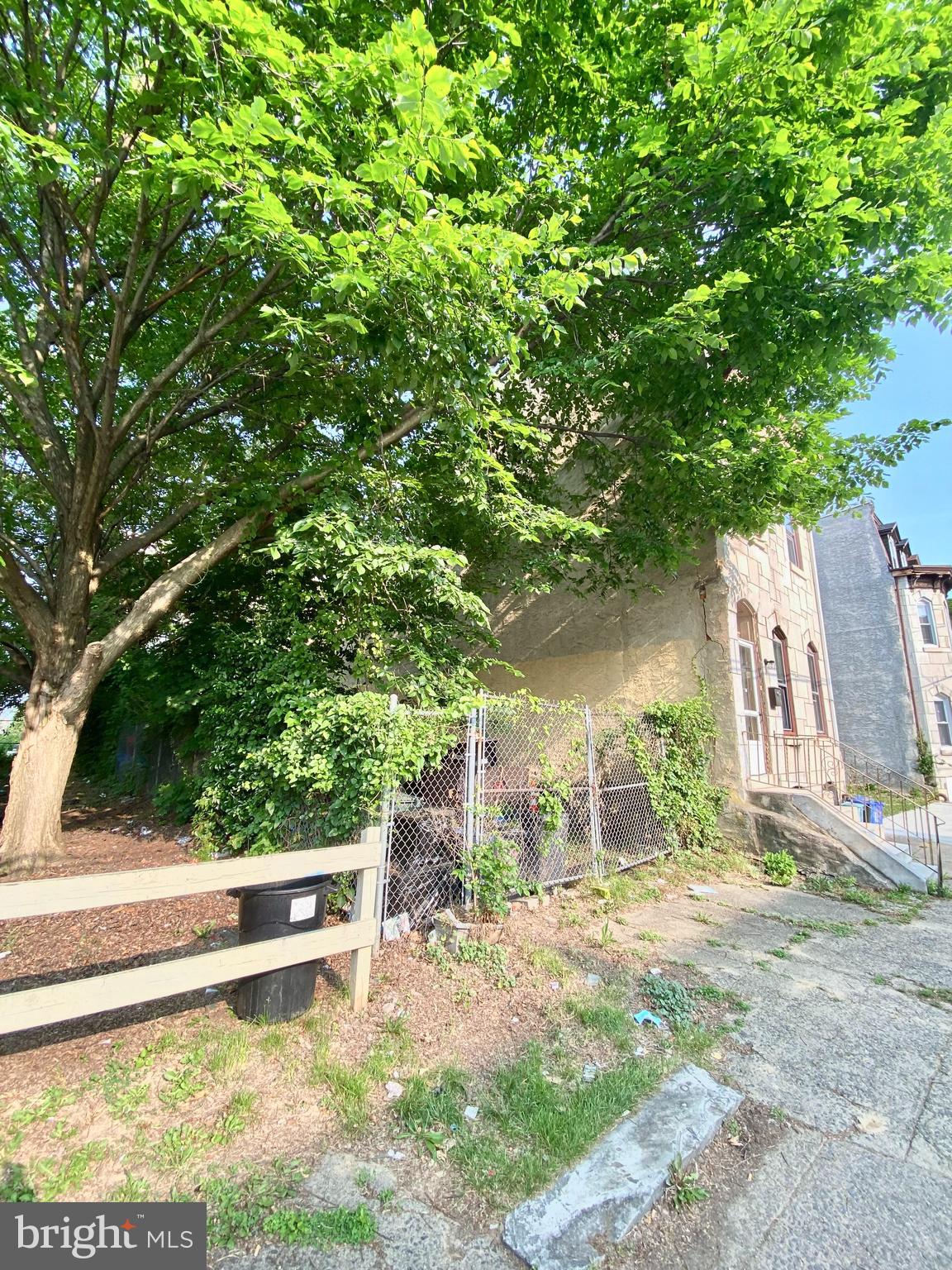 a view of a yard with plants and large trees