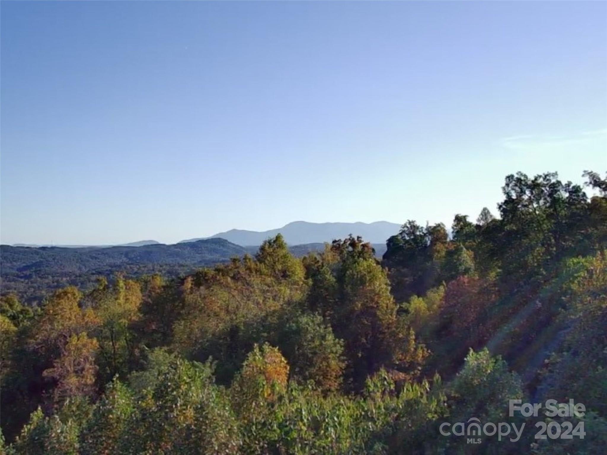 an aerial view of mountain with trees around