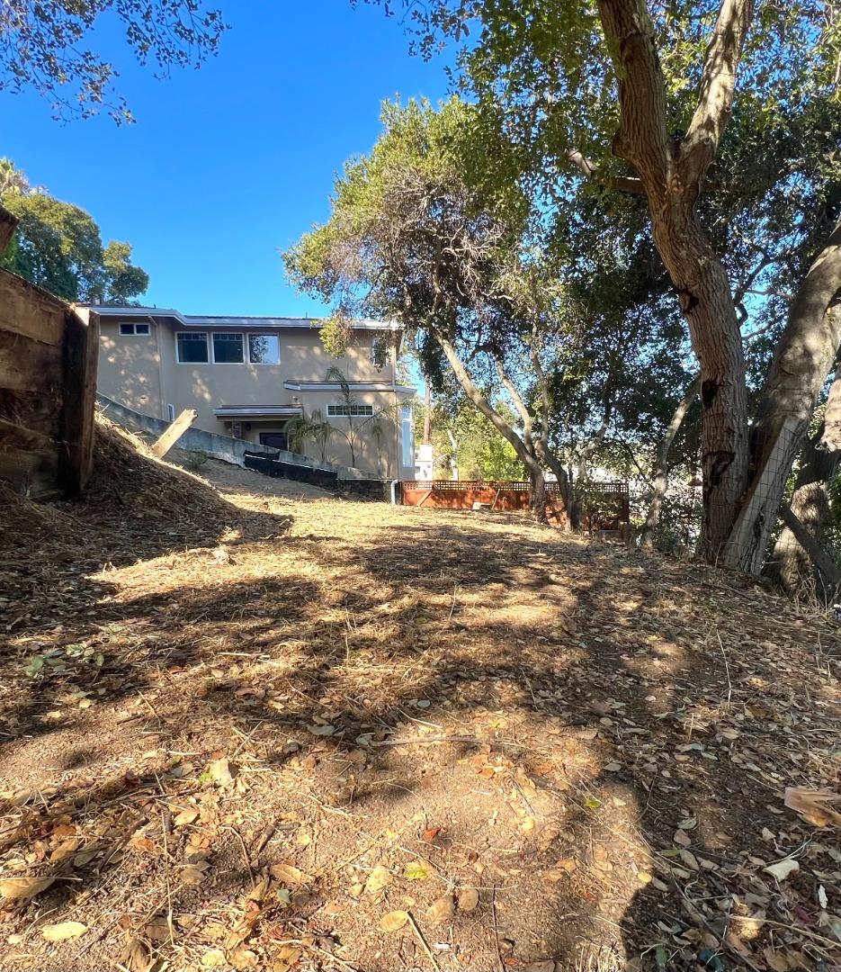 a view of a yard with an tree