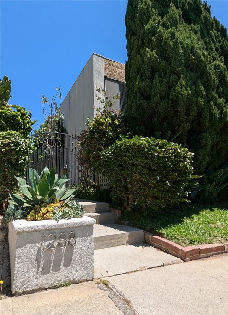 a view of a garden with plants