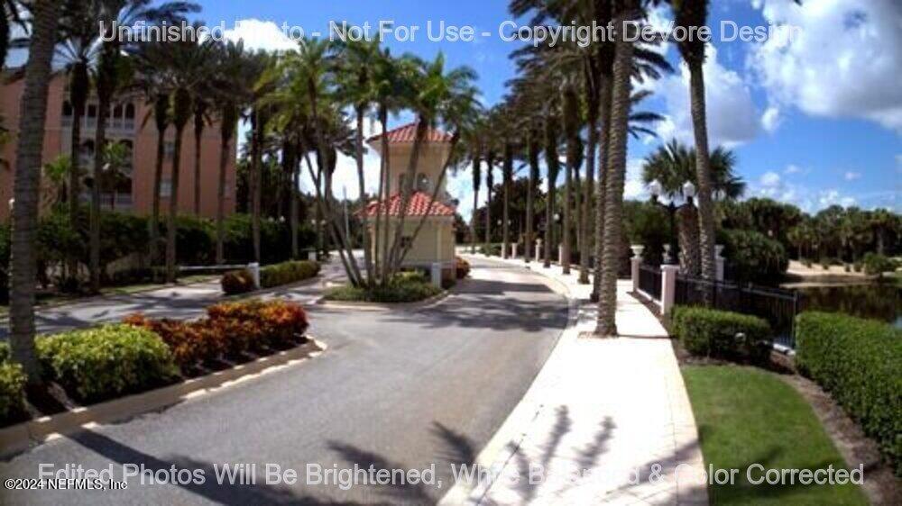 a view of a park with palm trees