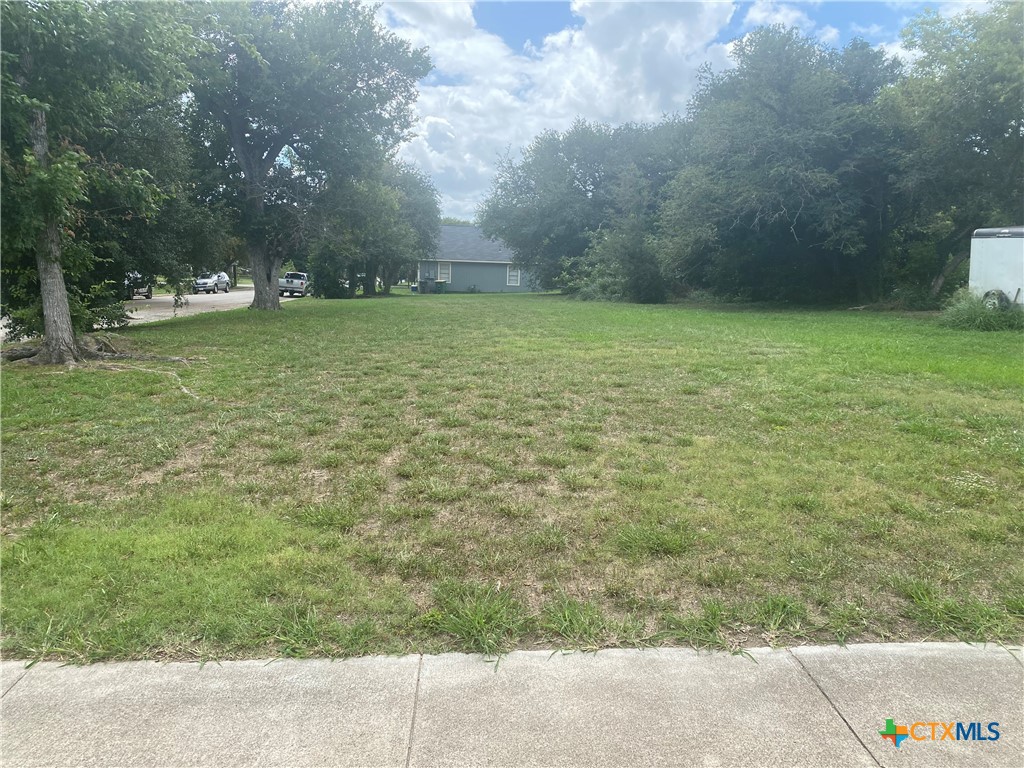 a view of a yard with a bench