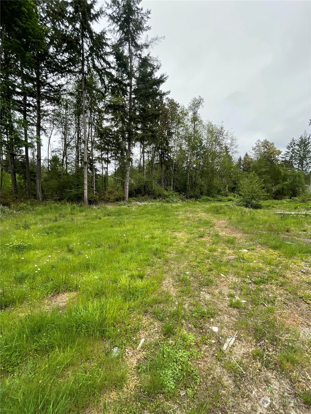 a view of a field with trees in the background