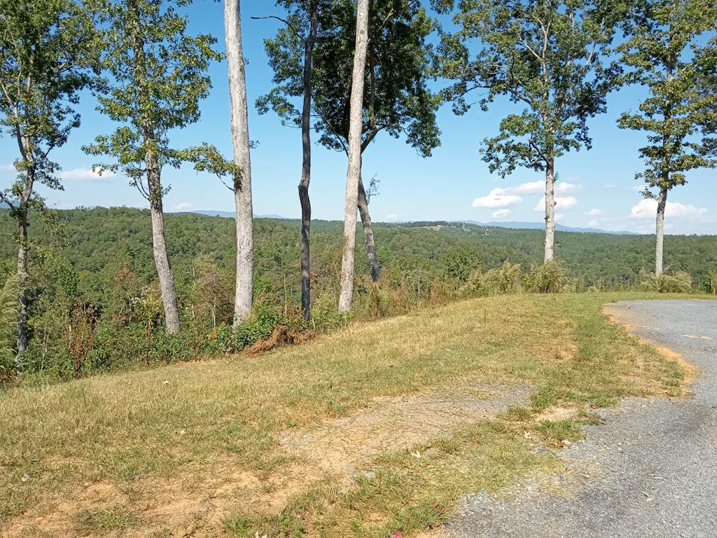 a view of a yard with an tree