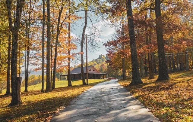 a view of a park with trees