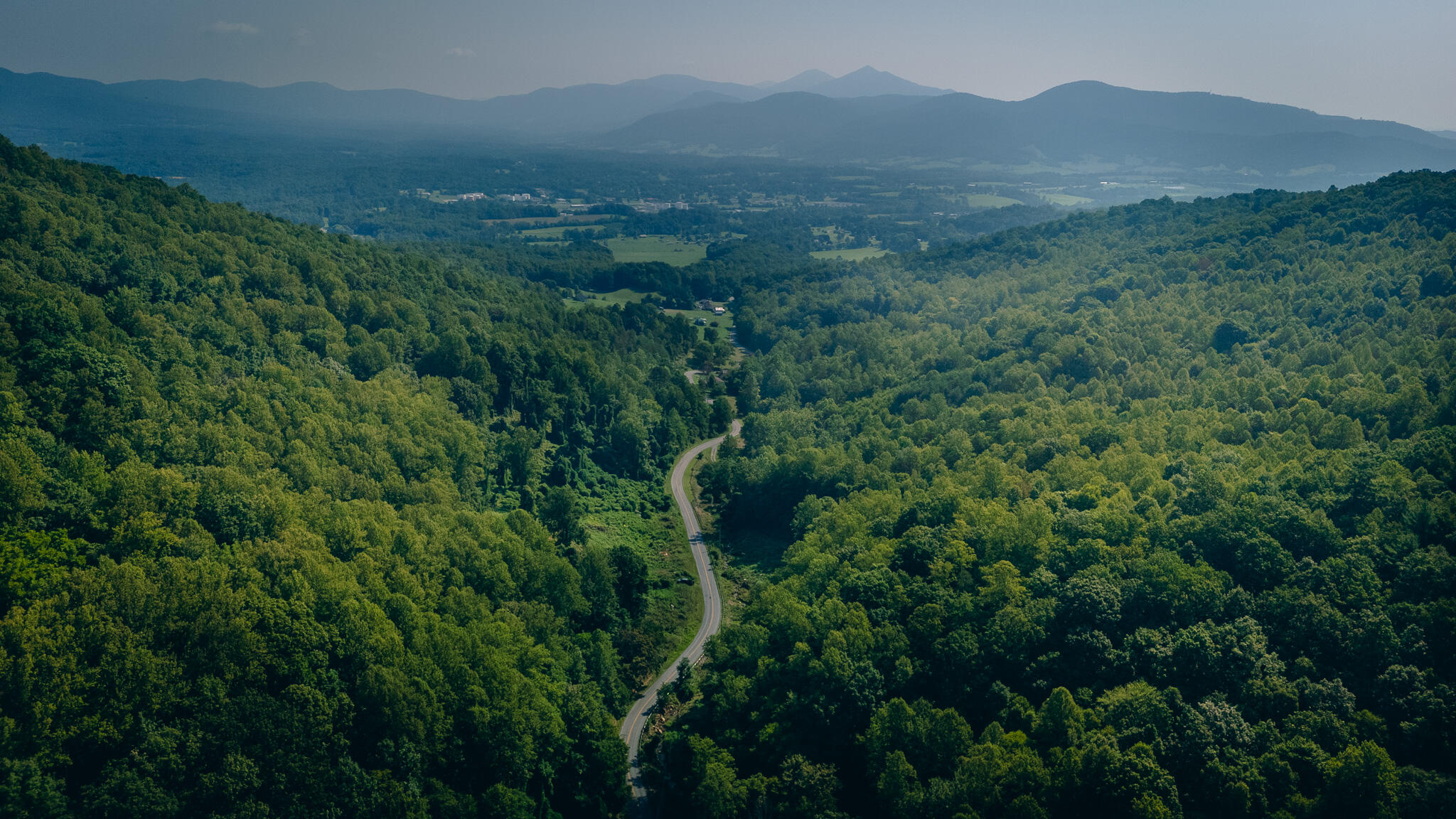 a view of a lush green forest with lush green forest