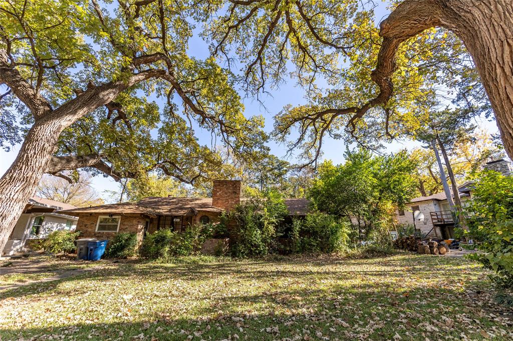 a view of a yard with trees