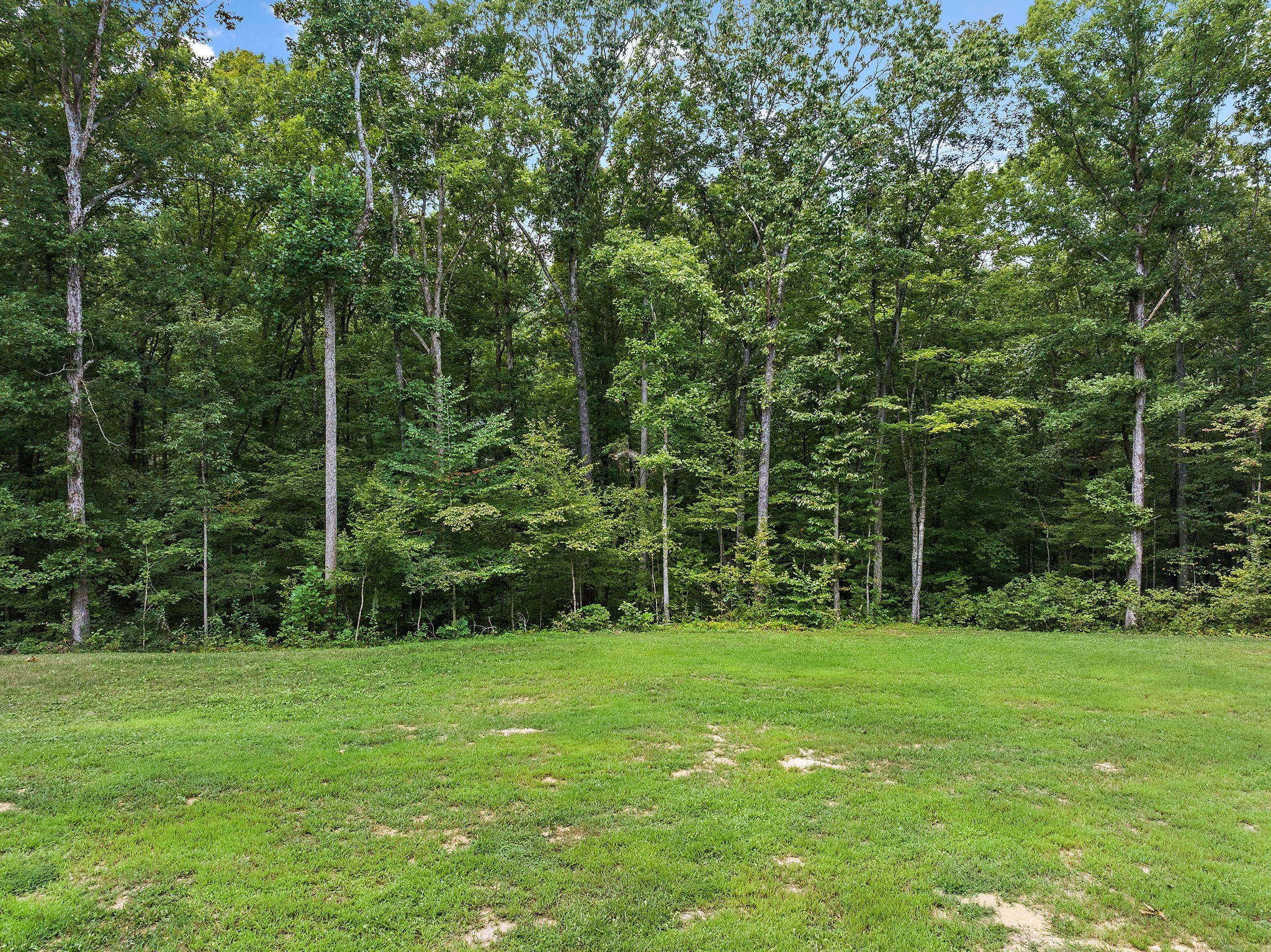 a view of a park with a tree in the background