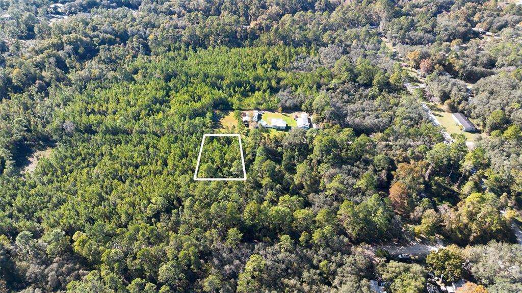 a view of a house with a tree