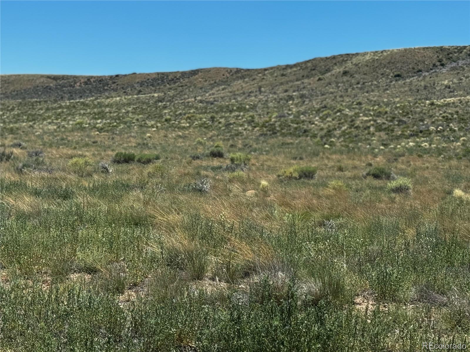 a view of a field with an ocean view