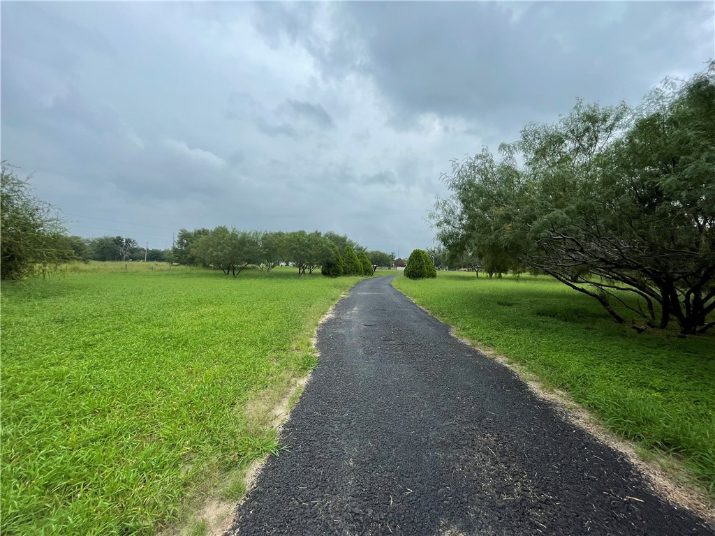 a view of a park with trees in the background