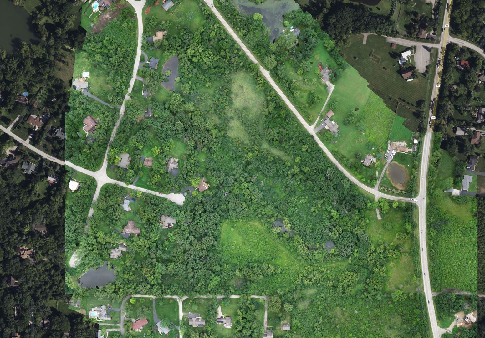 a view of a yard with plants