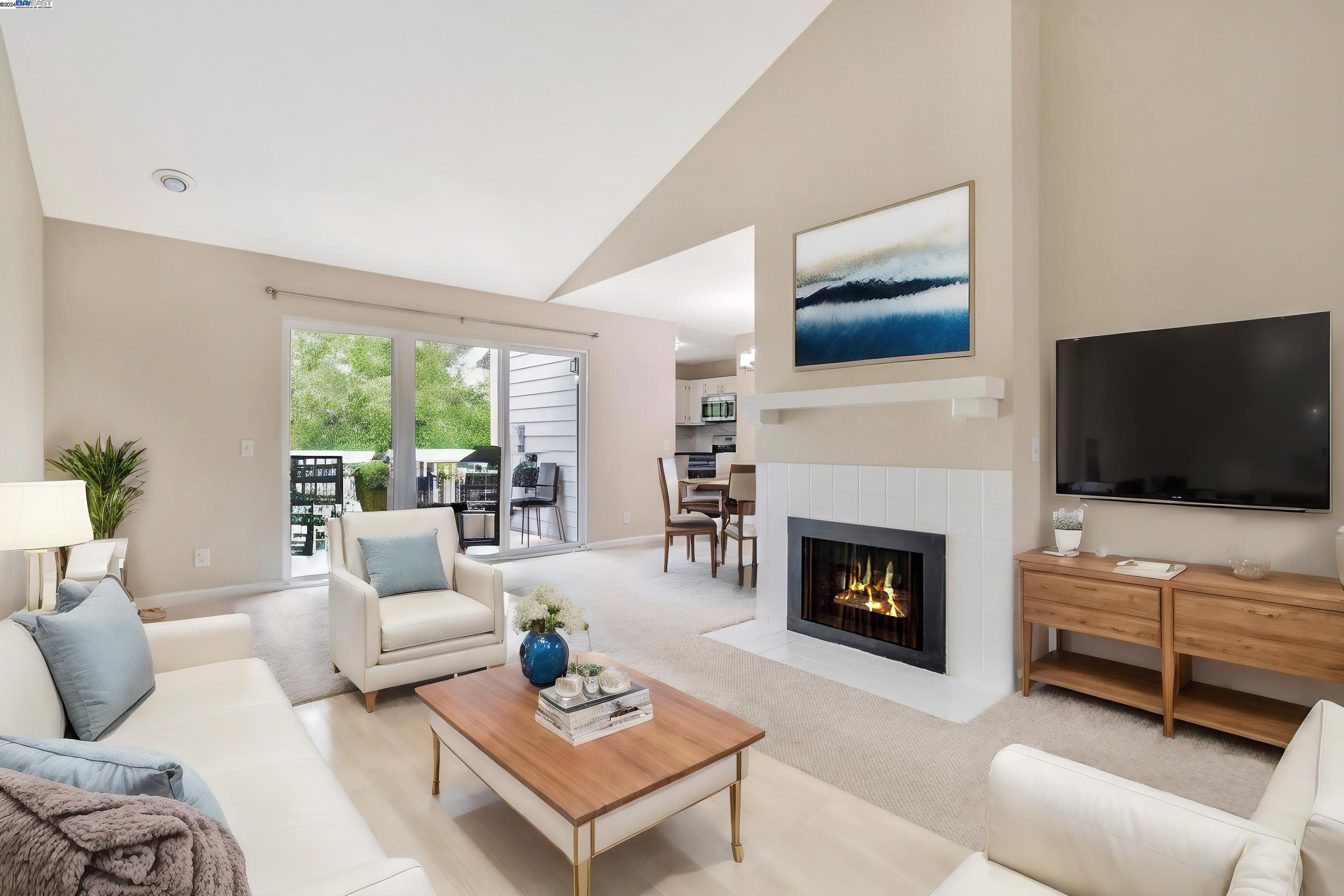 a living room with furniture a flat screen tv and a fireplace