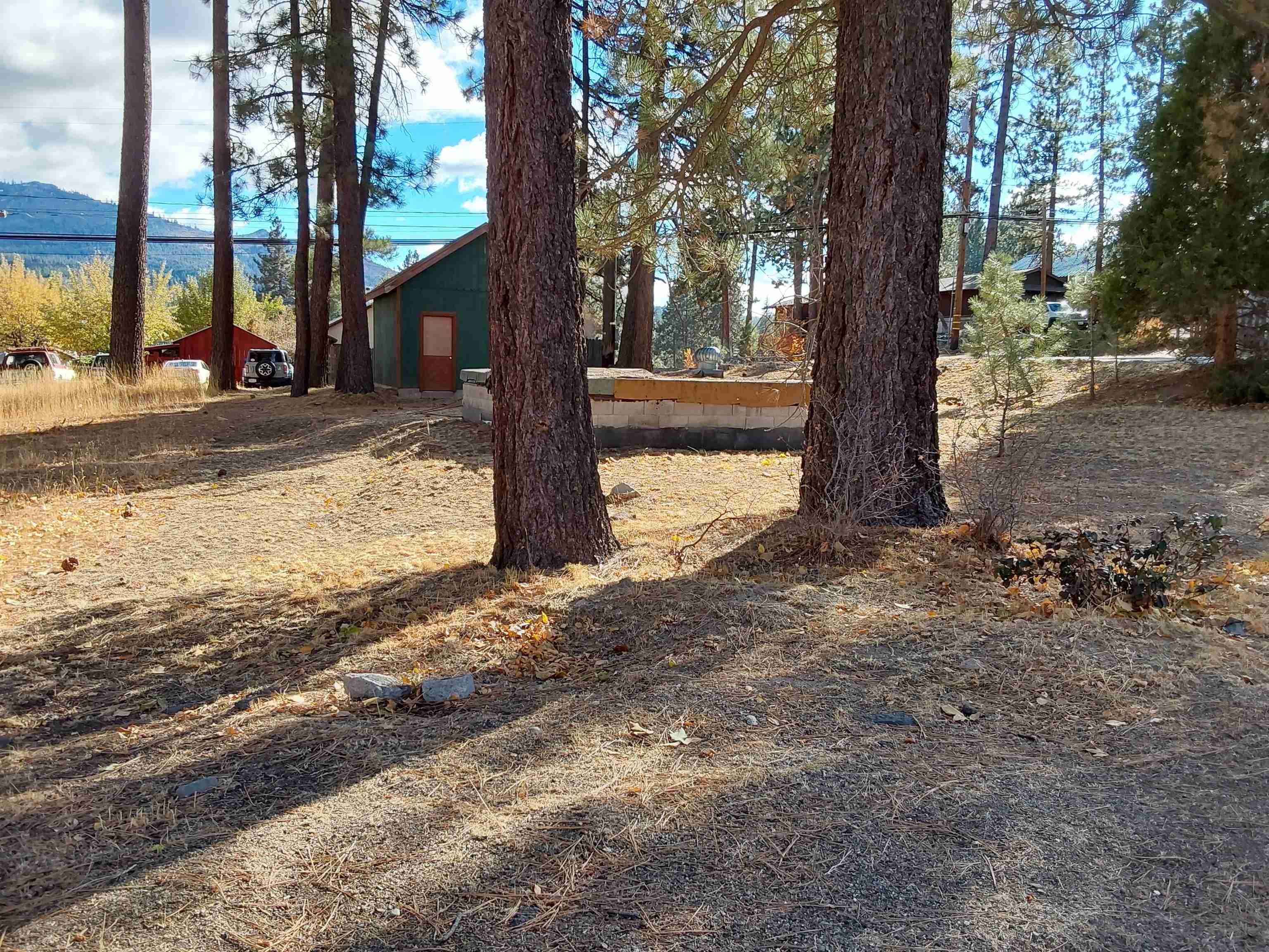 a view of a yard with a tree