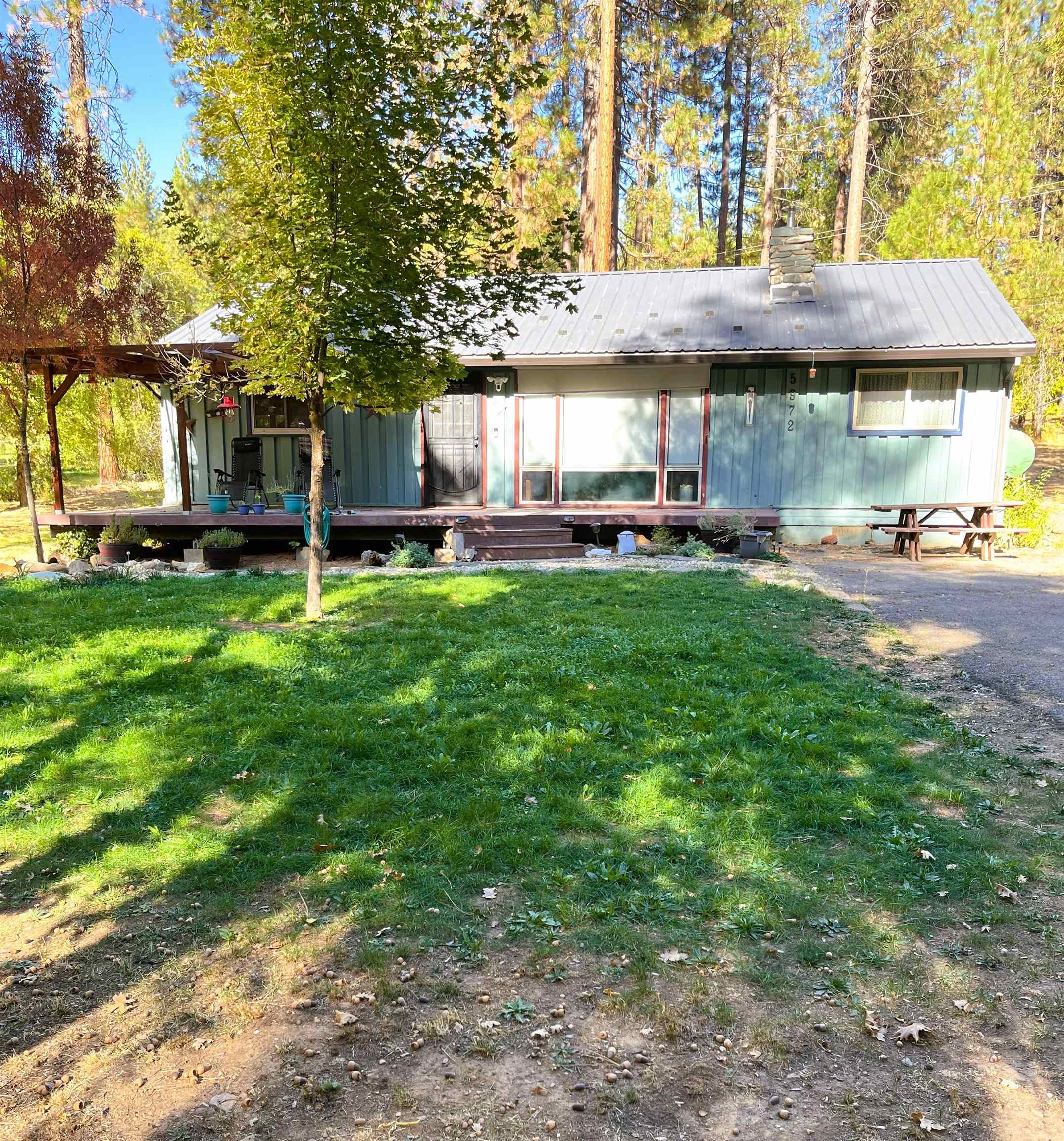 Grass, deck and driveway.