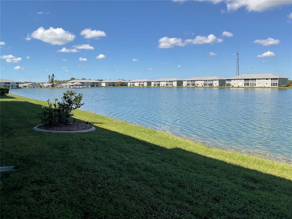 a view of a lake from a yard