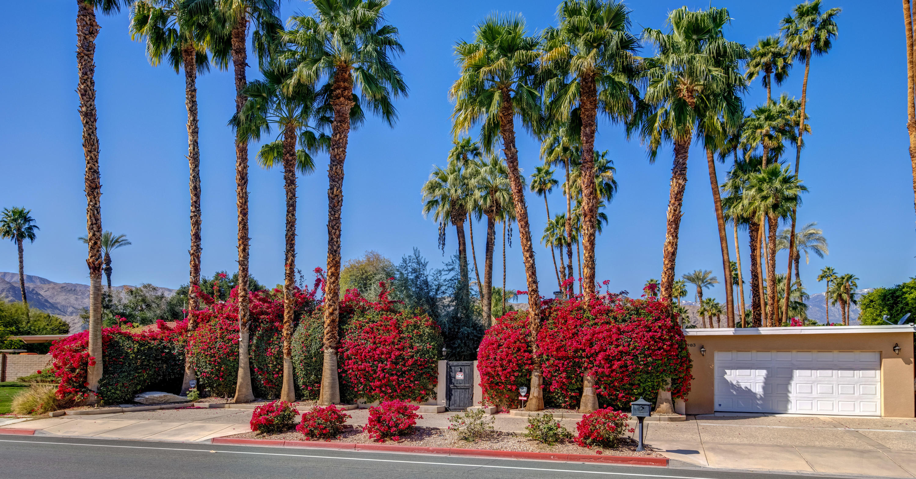 a view of a flower garden in front of a house