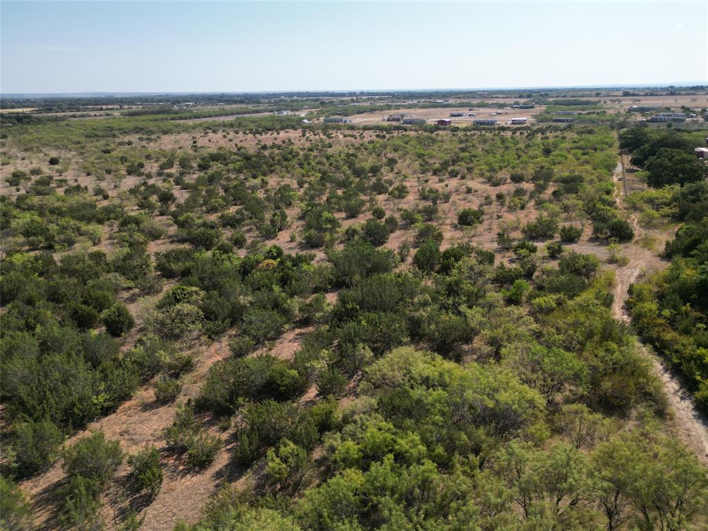 an aerial view of forest