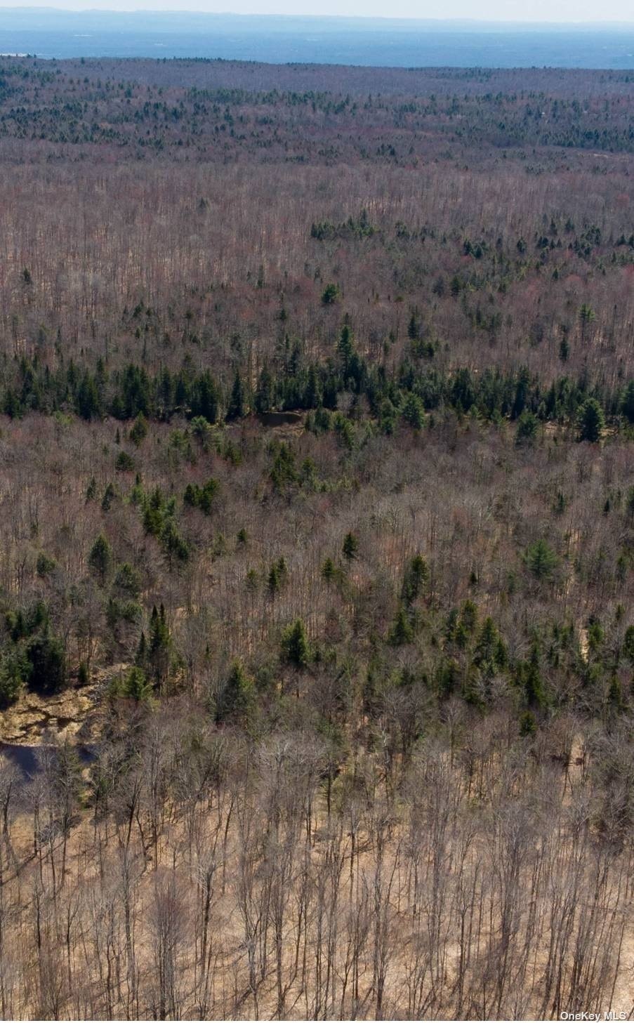 a view of a dry field