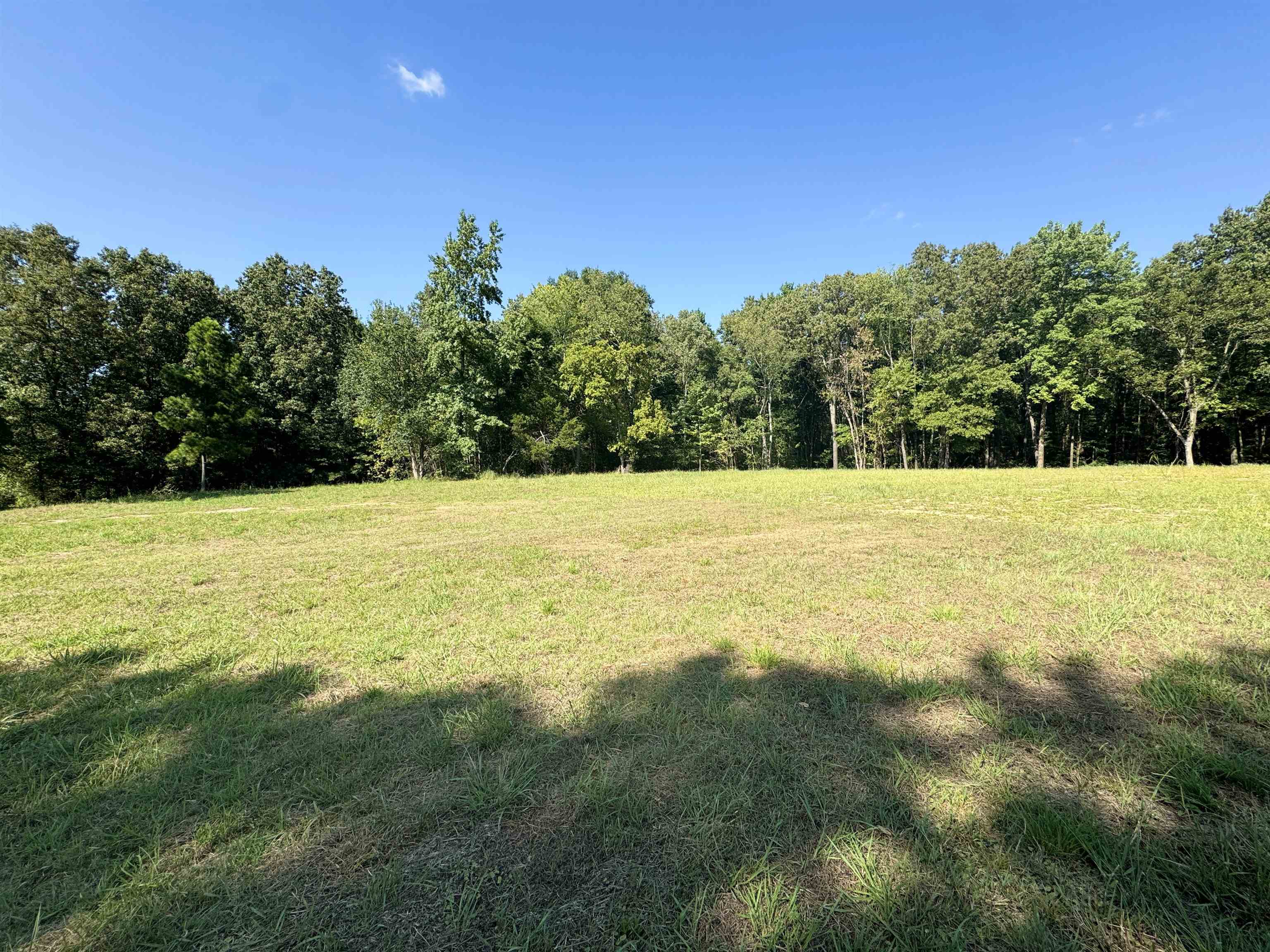 a view of an outdoor space and a yard