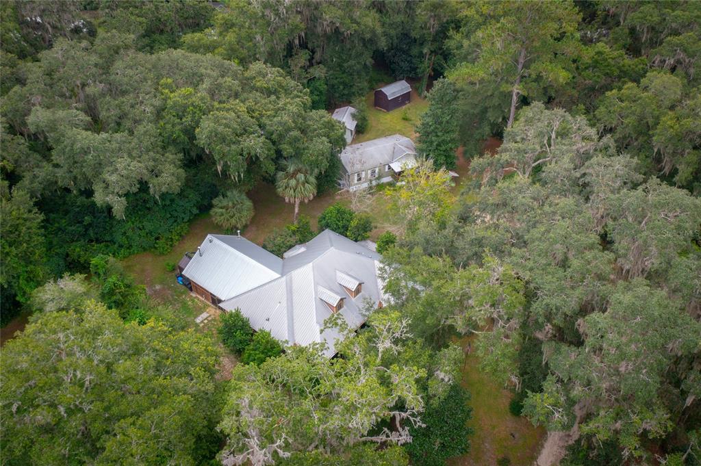 a view of a tree with a yard