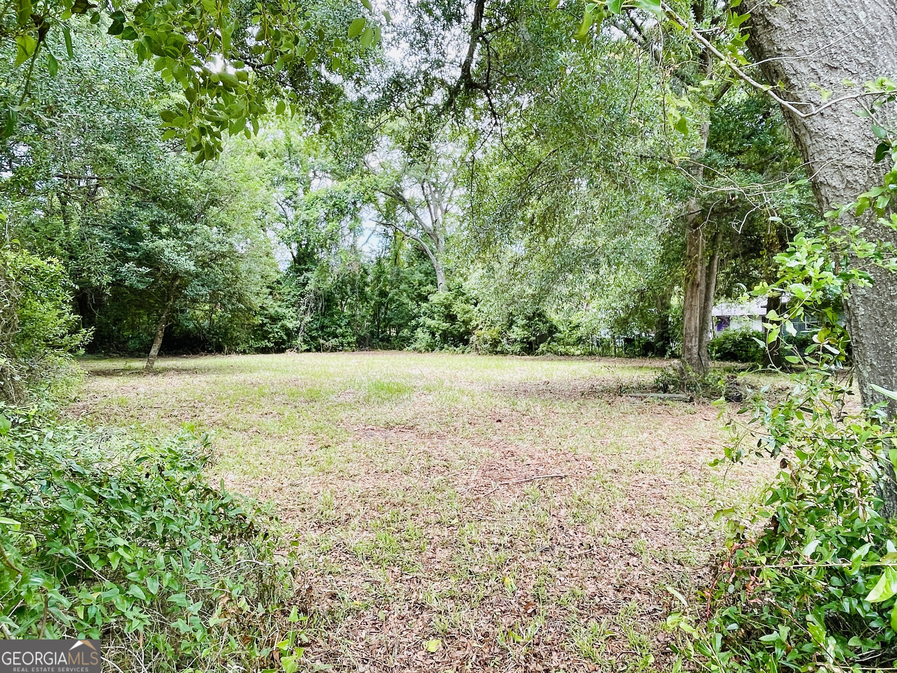 a view of an outdoor space and a yard