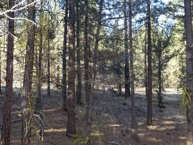 $159,000 | 0 Anderson Ranch Road