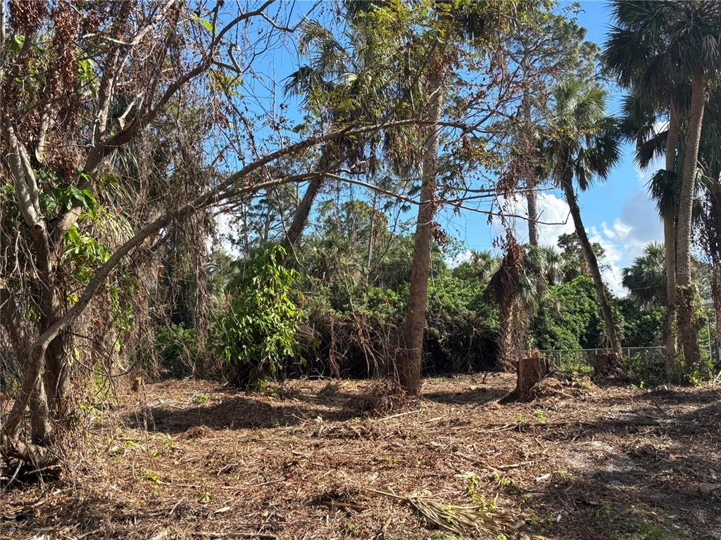 a backyard of a house with a trees