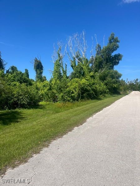 a view of a field of grass and trees