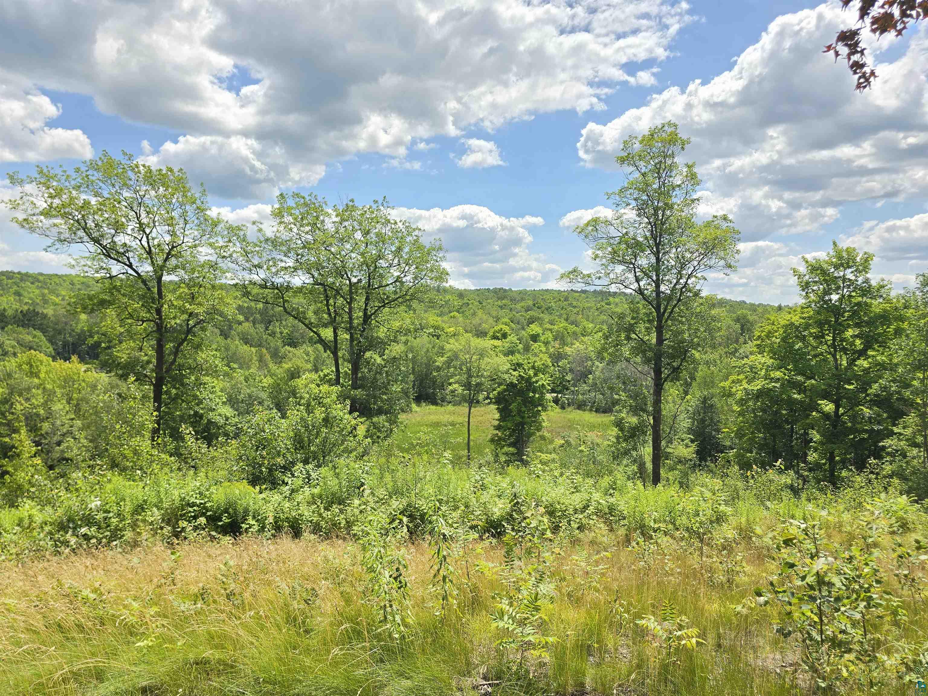 View of landscape