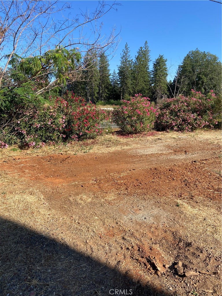 a view of a yard with an outdoor space