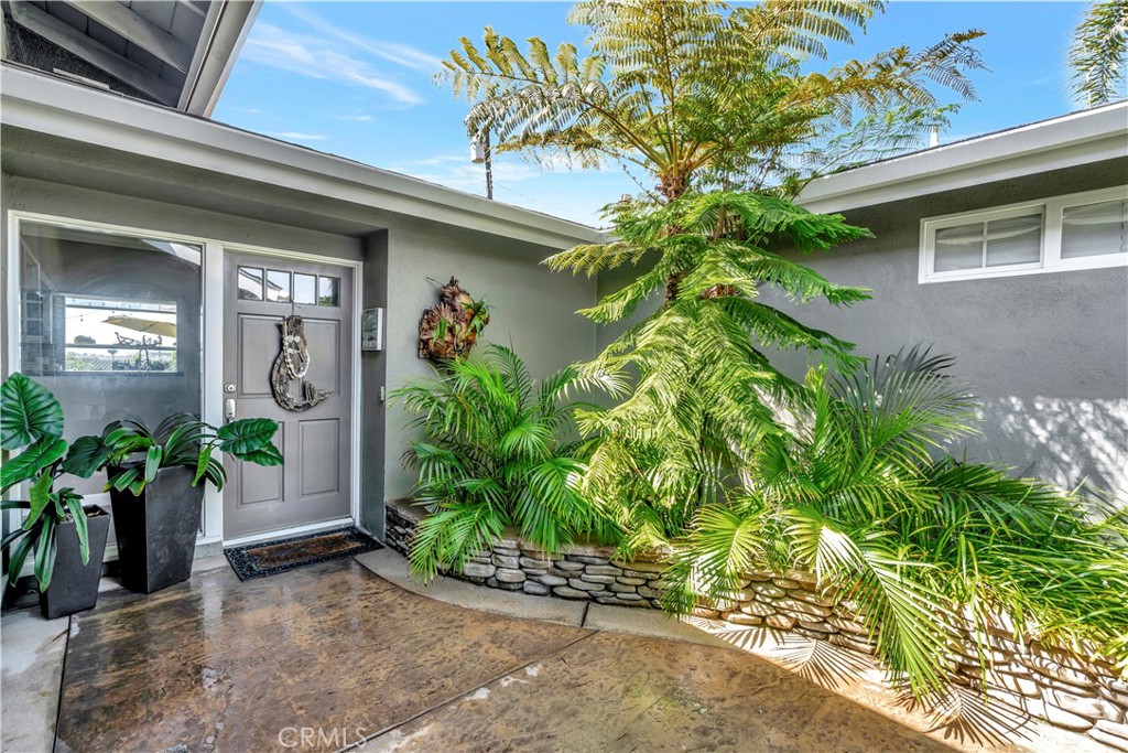 a potted plant in front of a house