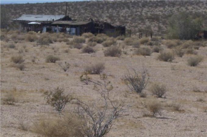 a view of a dry yard with trees