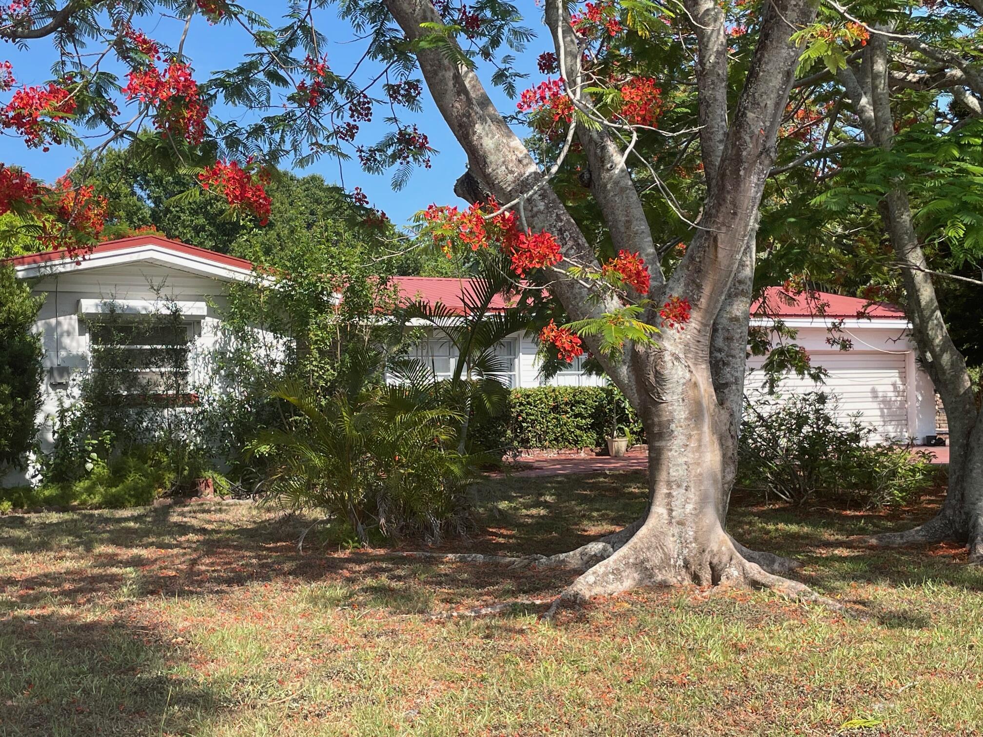 a tree lined with flowers