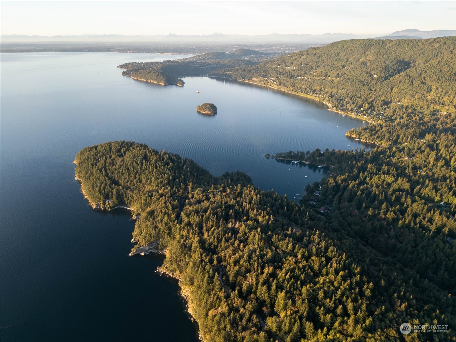 an aerial view of a house with a yard and lake view