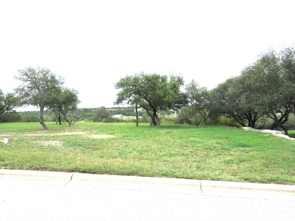 a view of grassy field with trees