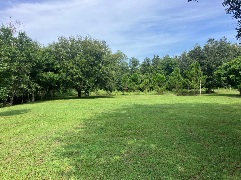 a view of a grassy field with trees