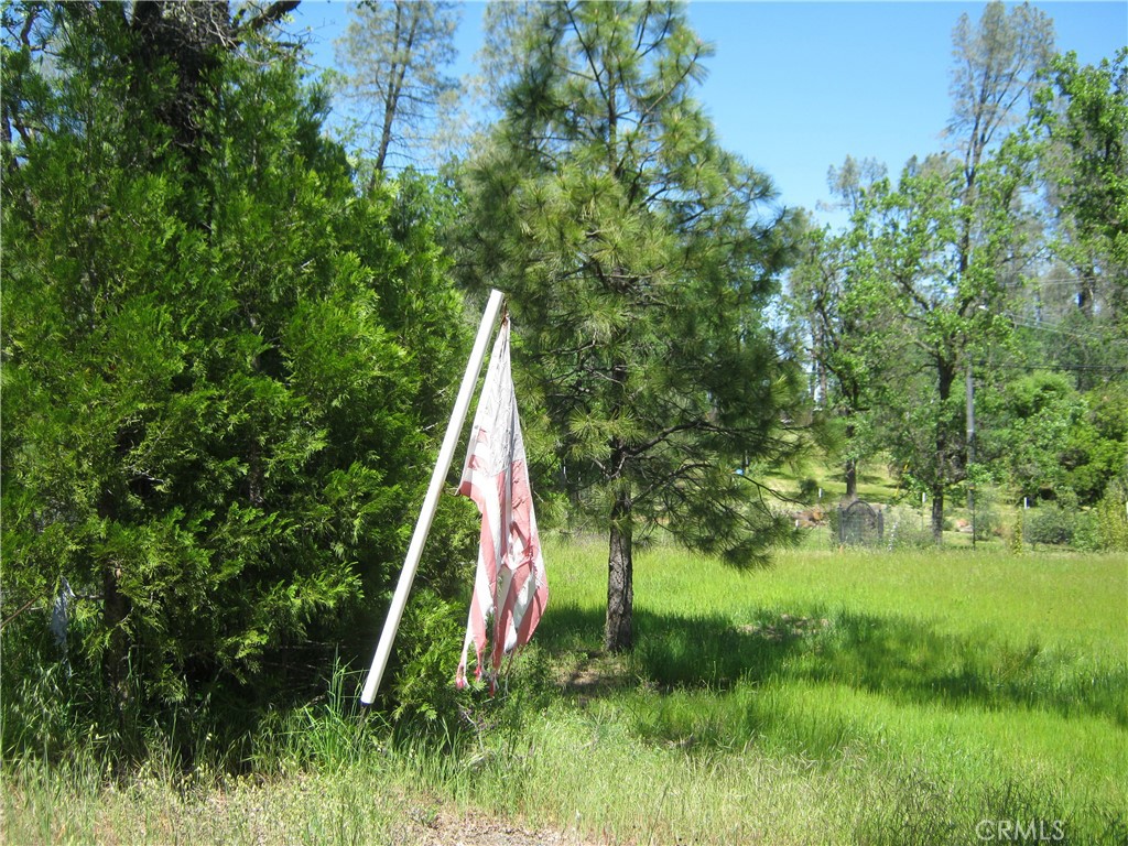 a view of a garden with a small area