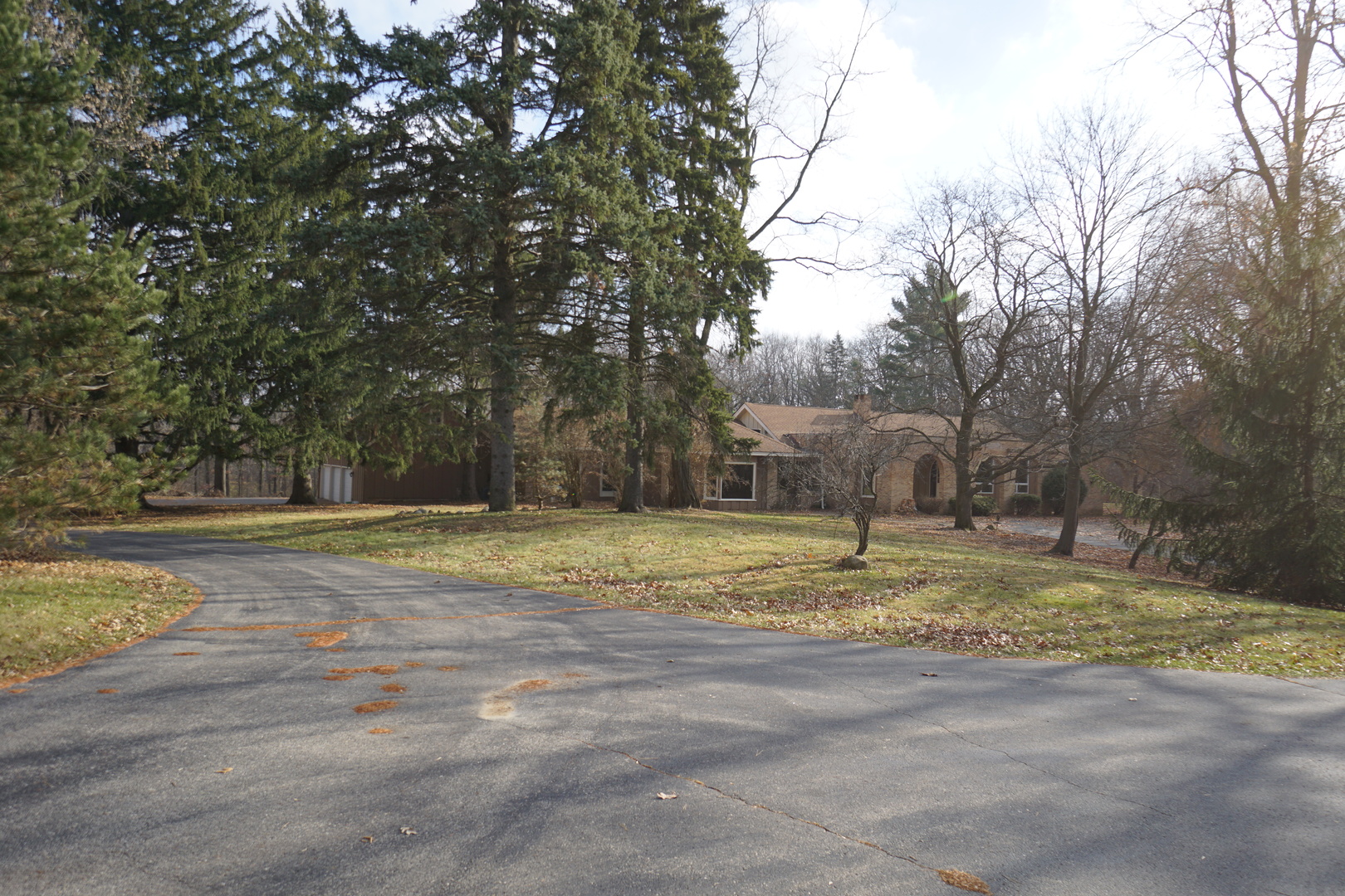 a view of a yard with large trees