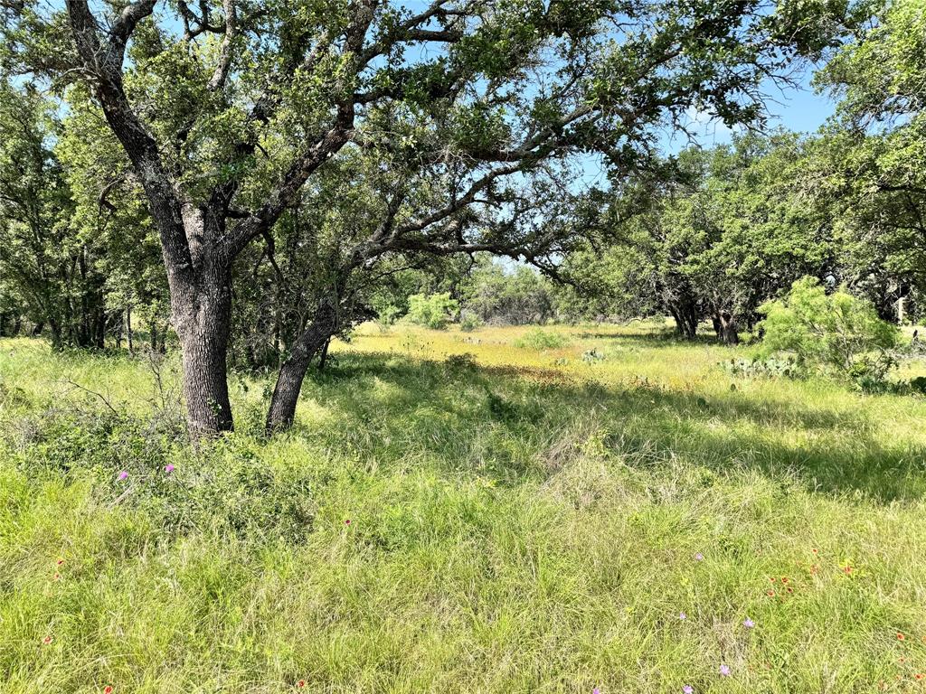 a view of yard with green space