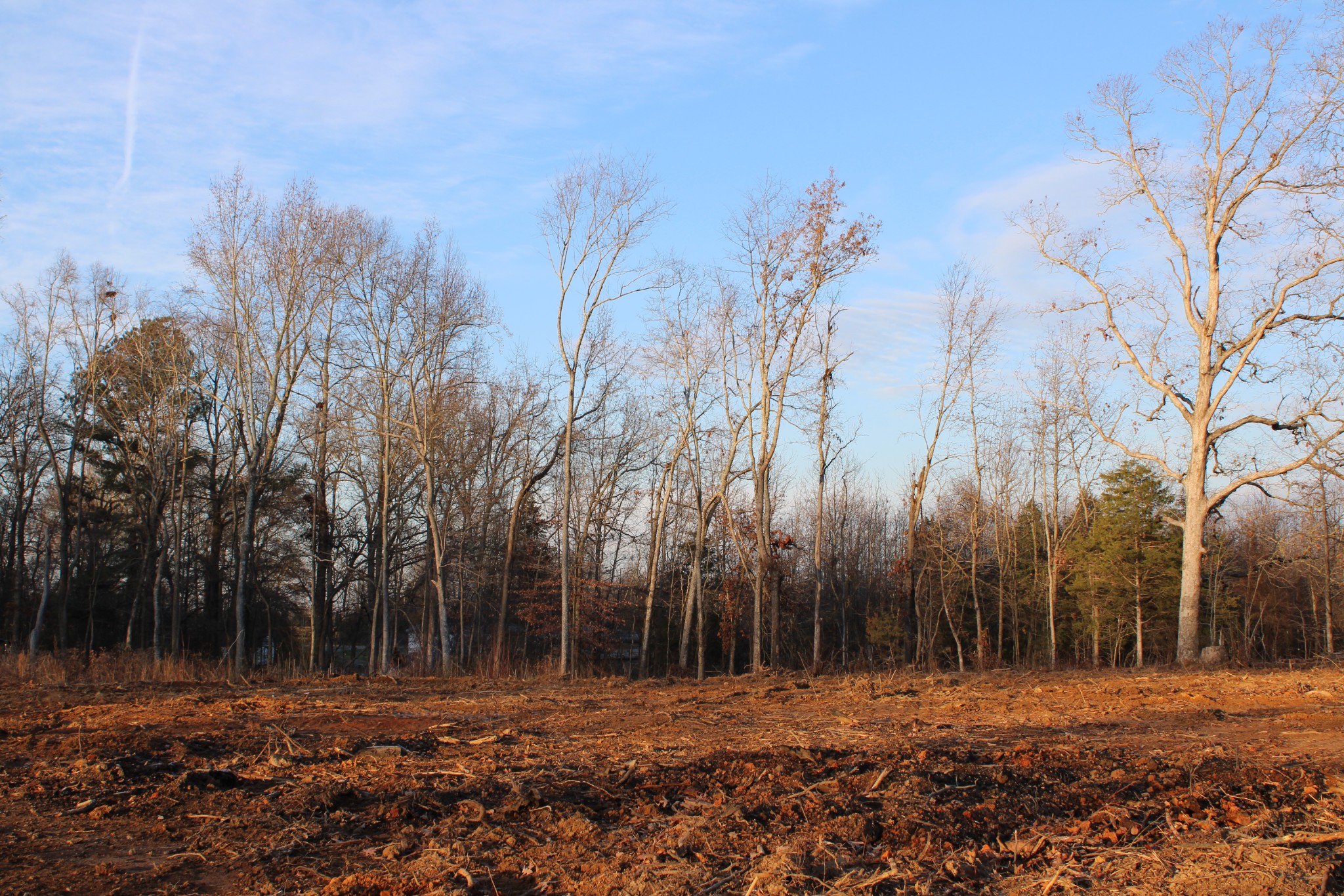 a view of dirt yard