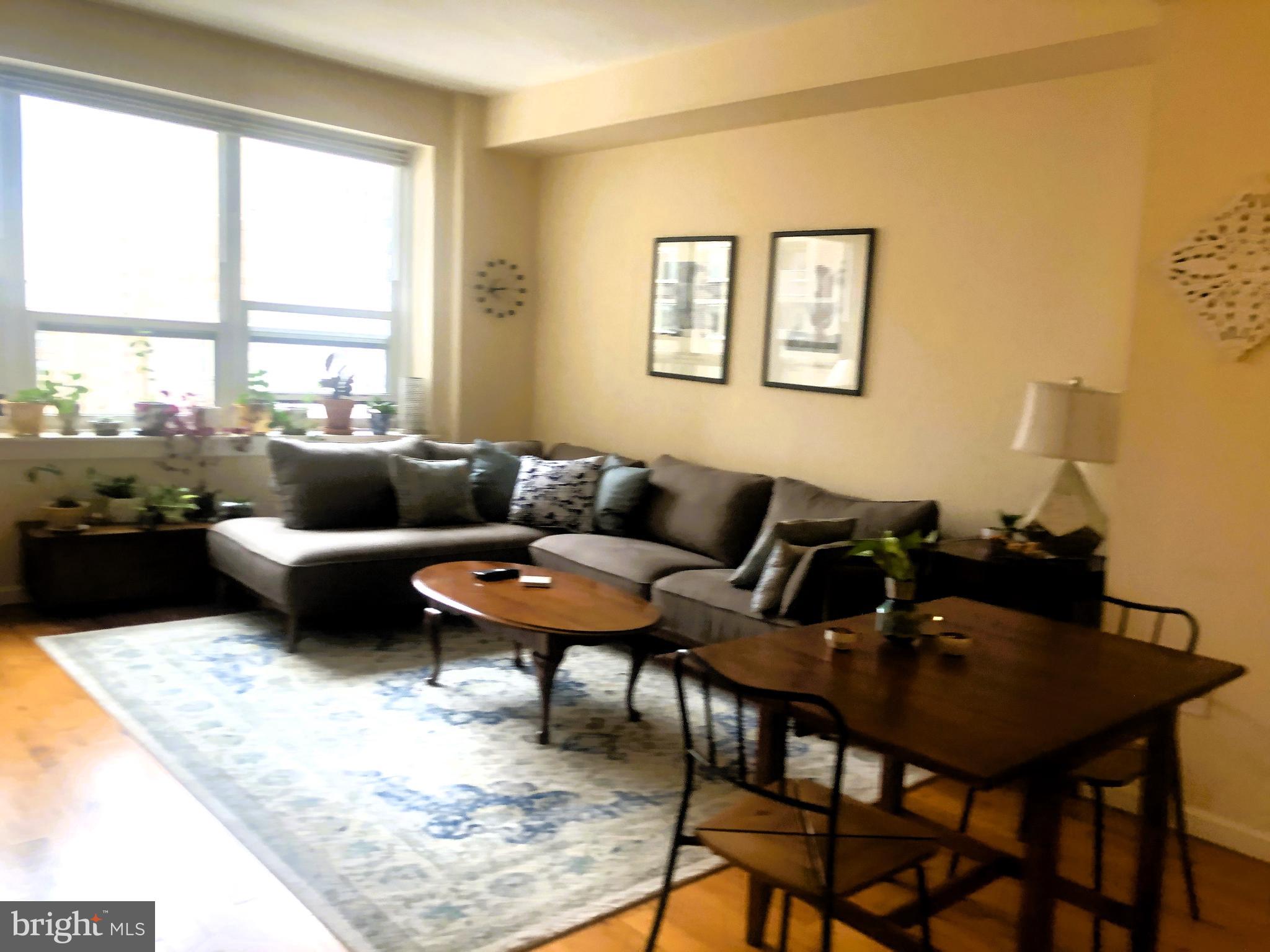 a living room with furniture and a rug